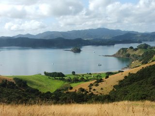 Anchorage in the Bay of Islands