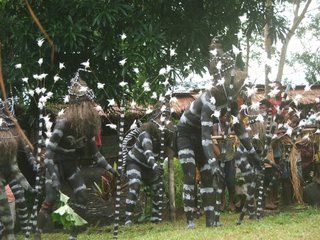 Snake dance, Vureas Bay