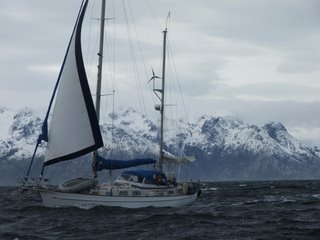 Ludus Amoris overtakes Bosun Bird