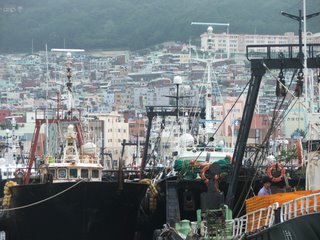 Busan harbour
