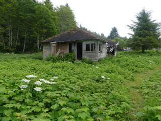 Abandoned house (2019)