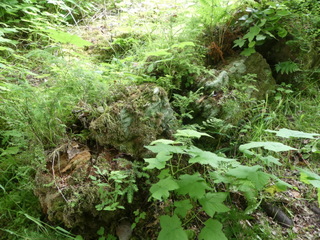 Fallen totem (2019): compare with 1990