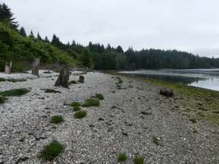 Village waterfront (2019)