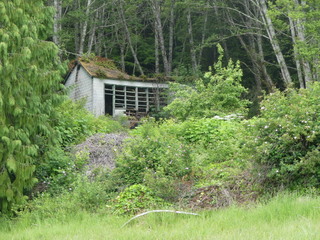 Old schoolhouse (2019)