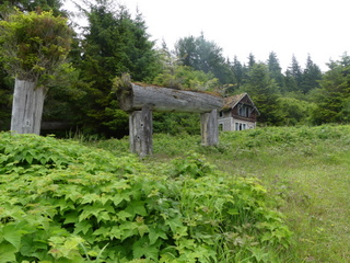 Old house posts (2019)