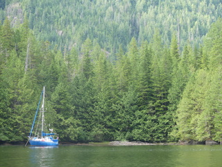 Stern-tied in Peet Bay