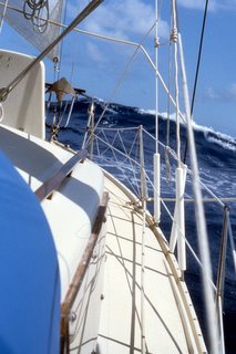 Running downwind <br>to the Marquesas