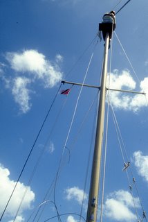 Replacing the forestay <br>in Tobago