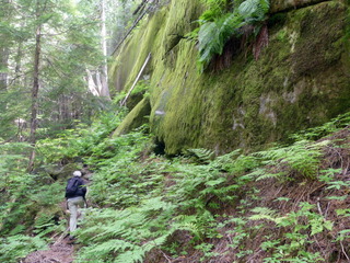 On the trail to the old trapper's cabin