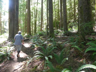 Walking at Waiatt Bay