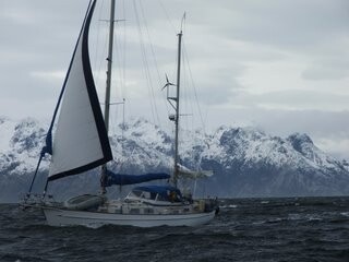Ludus Amoris overtakes Bosun Bird