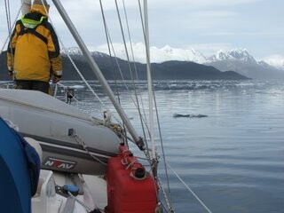 Dodging brash ice near the Amalia Glacier