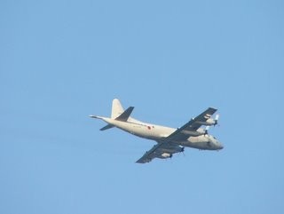 Coastal surveillance checking us out