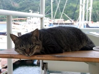 Princess Hime relaxes