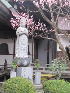 Daienin temple (our hotel)