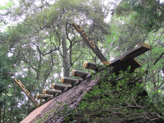 Shrine rooftop, Ise-jingu