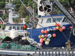 Fishing boats in St. Paul Harbour, Kodiak