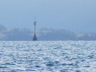 Bligh Reef