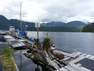 Docks at Butedale