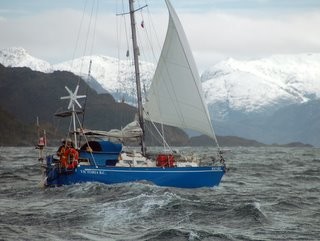 Bosun Bird in the Strait of Magellan