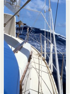 Running downwind <br>to the Marquesas
