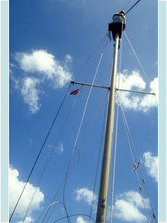 Replacing the forestay <br>in Tobago