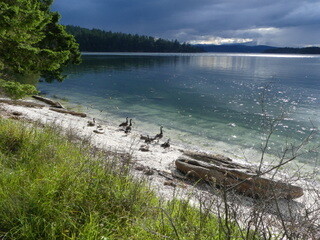 View from Gray Peninsula, Galiano Island