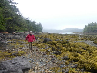 Walking in Sea Otter Cove