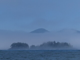 Fog on the west coast