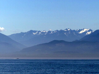 Hurricane Ridge, USA