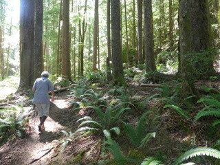 Walking at Waiatt Bay
