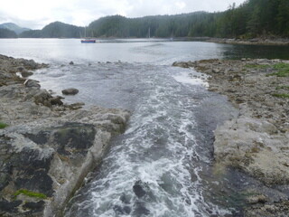 Rapids, Carrington Bay, Cortes Island