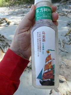 Plastic debris from Japan