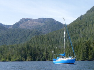 Gordon Cove, Moresby Landing