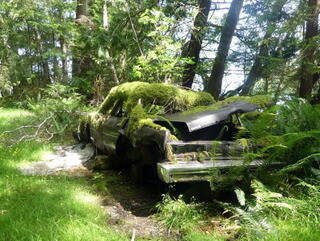 Moss-covered truck